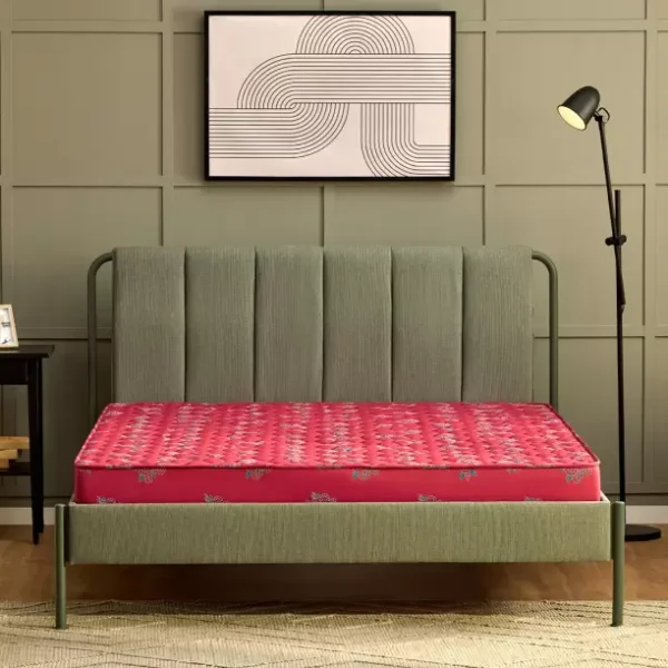KURLON Dual Reversible Mattress, Soft & Firm Foam Mattress