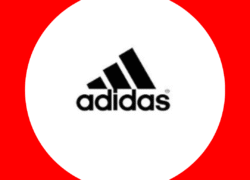 Untitled design - 2025-08-03T155726.991