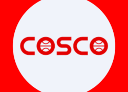 Untitled design - 2025-08-03T224932.288