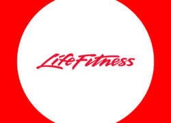 Untitled design - 2025-08-03T225946.018