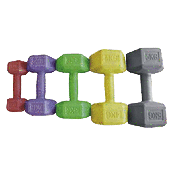 Vinyl Dumbbell