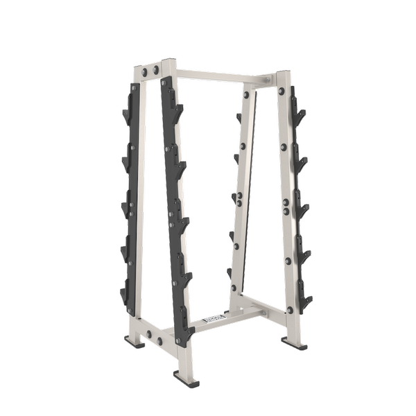 Life Fitness BARBELL RACK