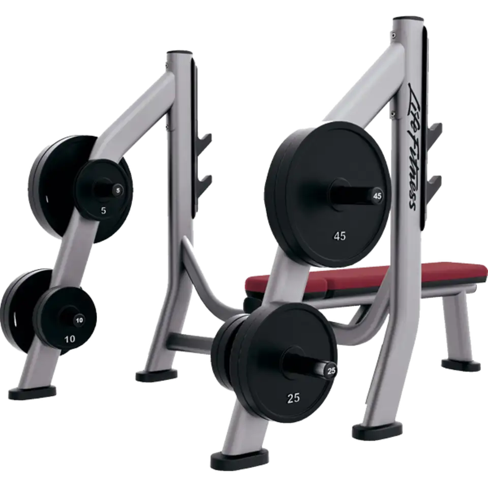 Life Fitness Olympic Bench Weight Storage